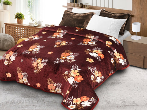 Alexa 4 Piece Warm Duvet Cover Set with bedsheet & Pillow Covers for Double bed