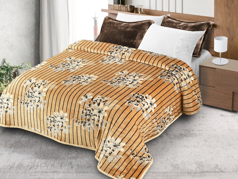 Alexa 4 Piece Duvet Cover Set with bedsheet & Pillow Covers for Double bed