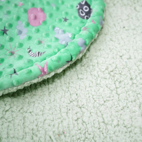 Florida All Season Hooded Baby Blanket Swaddler Wrapper Flannel Soft and Comfortable for New Born Baby Girls and Boys - Sea Green