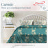Carmic King Size 100% Cotton Bedsheet with Pillow Covers by Florida