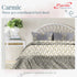 Carmic King Size 100% Cotton Bedsheet with Pillow Covers by Florida