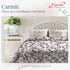 Carmic King Size 100% Cotton Bedsheet with Pillow Covers by Florida