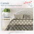 Carmic King Size 100% Cotton Bedsheet with Pillow Covers by Florida