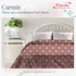 Carmic King Size 100% Cotton Bedsheet with Pillow Covers by Florida
