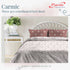 Carmic King Size 100% Cotton Bedsheet with Pillow Covers by Florida