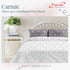 Carmic King Size 100% Cotton Bedsheet with Pillow Covers by Florida