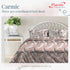 Carmic King Size 100% Cotton Bedsheet with Pillow Covers by Florida