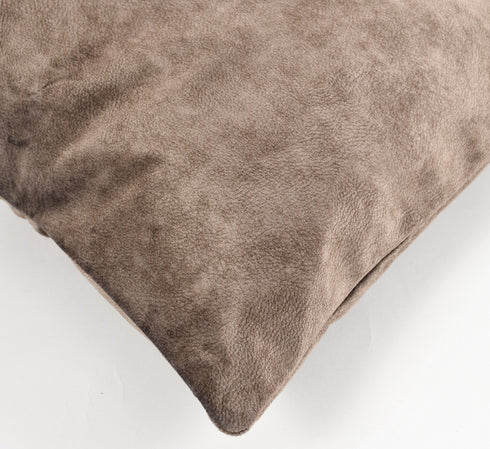 Walton by Florida Velvet Decorative Cushion Cover for Sofa (Set of 1 Piece)