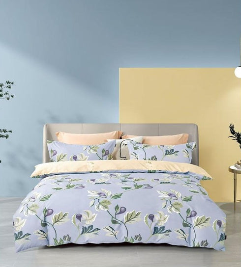 San Diego 250 TC King Size 100% Cotton Imported Bed Sheet Set with 2 Pillow Covers by Florida