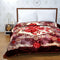 Yen Two Ply Super Soft Mink Double Bed Blanket