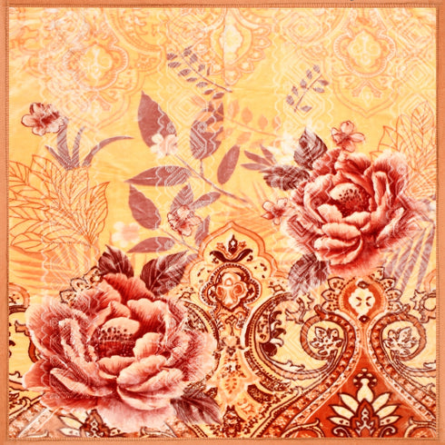 Yen Two Ply Super Soft Mink Double Bed Blanket