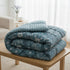 Florida 250 GSM Super Soft All Season Fluffy Reversible Double Bed Comforter - (Persian, Blue)