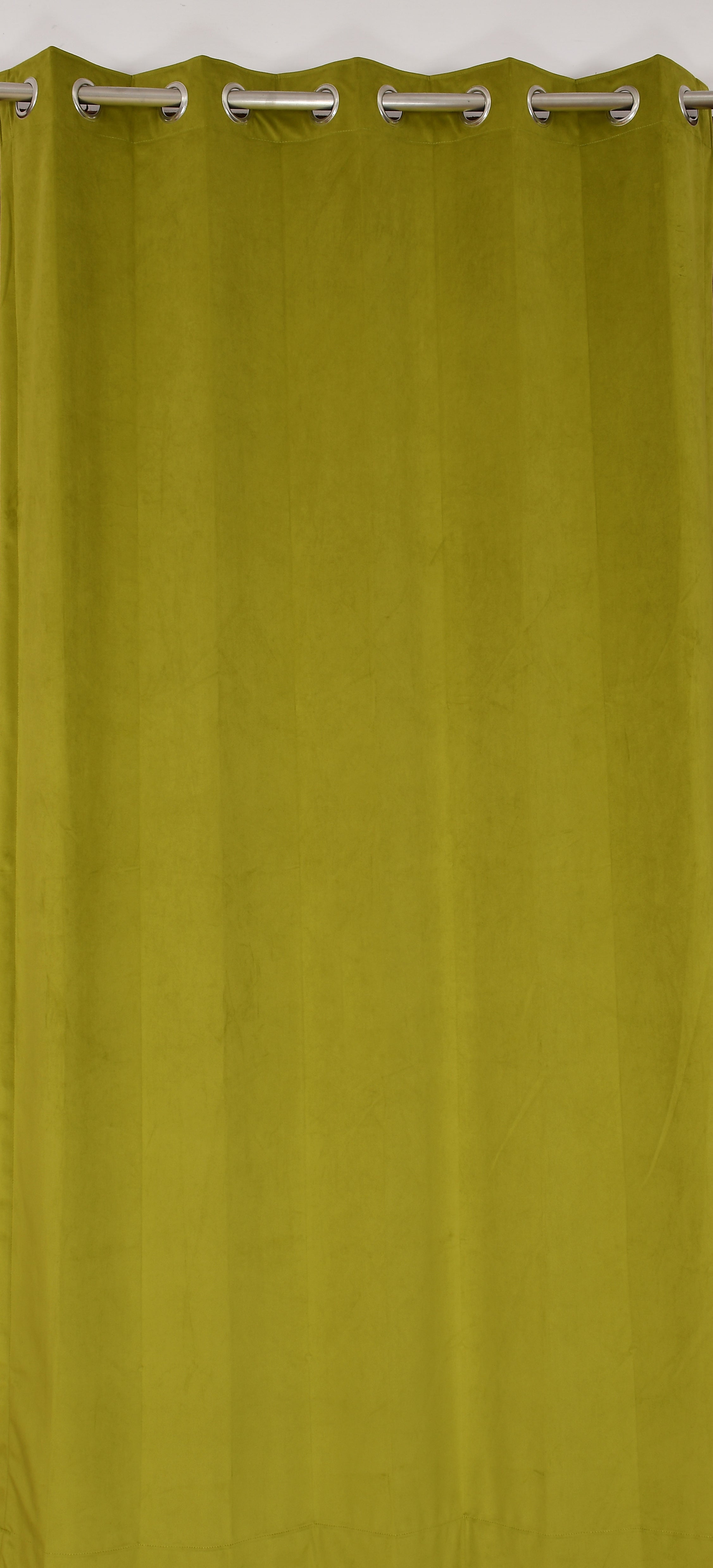 Hamilton Curtain by Florida - Curtains for Living Room Bedroom Balcony Made with Plain Holand Velvet and Solid Colors